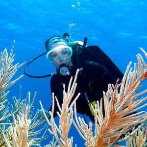 Meet your Posher, Holly