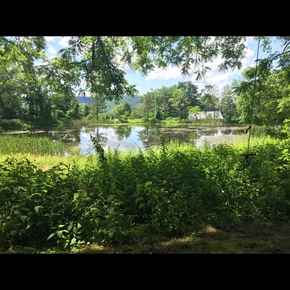 Meet your Posher, Catherine