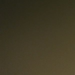 Meet your Posher, Camila