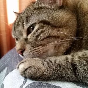 Meet your Posher, Arizbeth