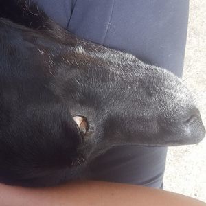 Meet your Posher, Meagan