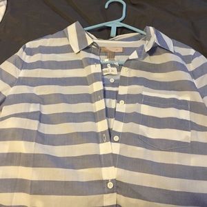 Blue and white stripe buttondown