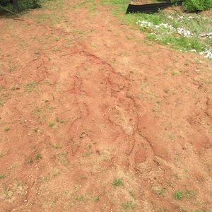 Meet your Posher, Shereena