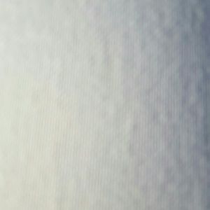 Meet your Posher, Lucy