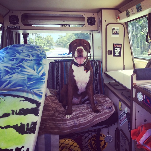 Meet your Posher, Erika - Picture 2 of 2