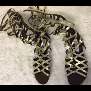 Steve madden gold gladiators