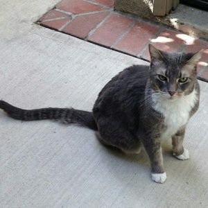 Meet your Posher, Corina