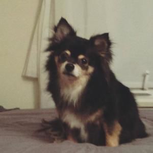 Meet your Posher, Cindy