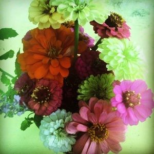 Meet your Posher, Frances