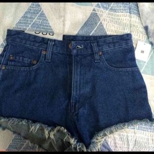 NWT Urban Outfitter High Waisted shorts