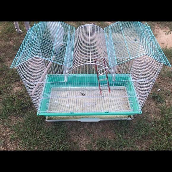 Bird cage
