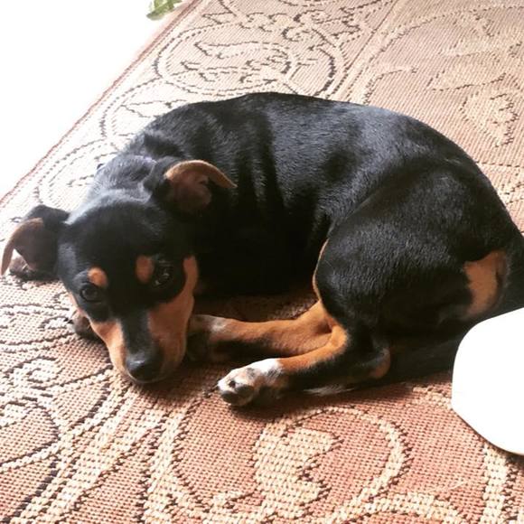 Meet your Posher, Terri