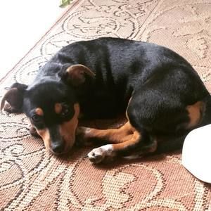 Meet your Posher, Terri