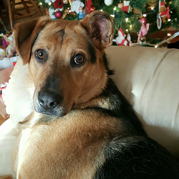 Meet your Posher, Rebecca - Picture 2 of 3