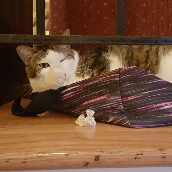 Meet your Posher, Rebecca - Picture 3 of 3