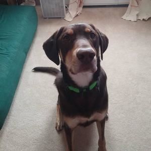 Meet your Posher, Melinda