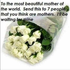 Meet your Posher, Angela