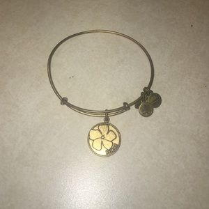 Alex + Ani Friend Bracelet