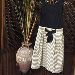 Pretty Fit And Flare Dress From The Limited