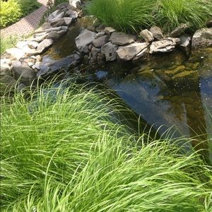 Meet your Posher, Zara