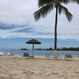 Meet your Posher, Charlene