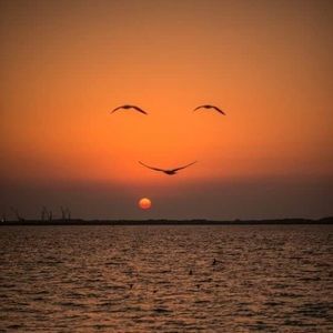 Meet your Posher, Lakeira