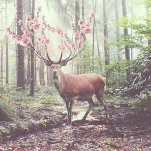 Meet your Posher, Farren