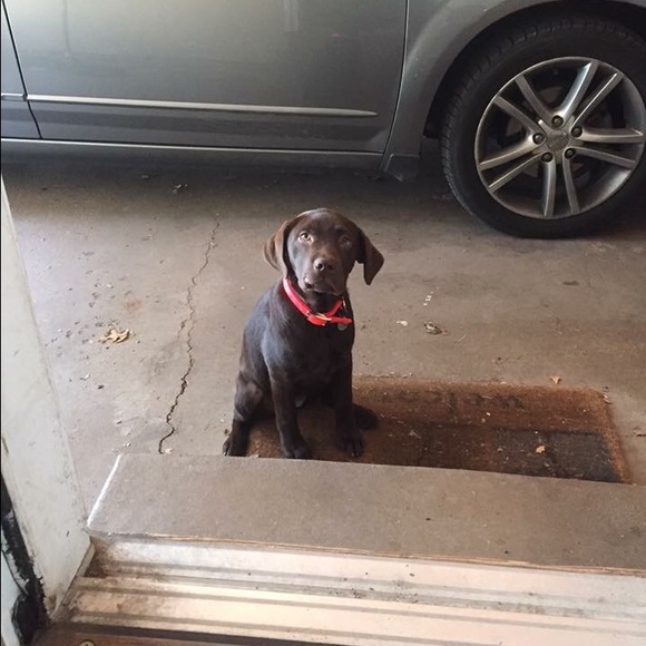 Meet your Posher, Madi