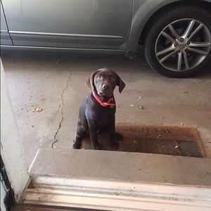 Meet your Posher, Madi