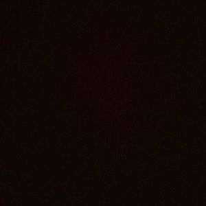 Meet your Posher, Rocio