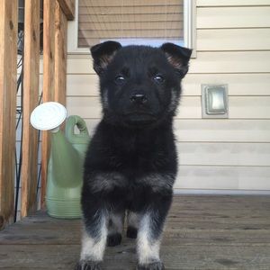 Meet your Posher, Jaime