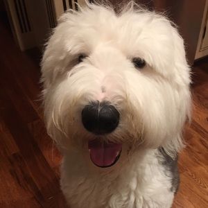 Meet your Posher, Margaret