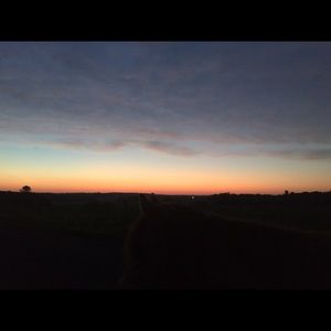 Meet your Posher, Claire