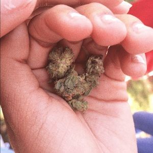 Meet your Posher, Marissa