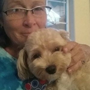 Meet your Posher, Cheri