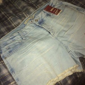 Arizona Brand Short Shorts