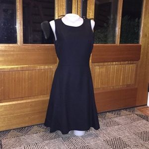 Theory Black Sleeveless Fit and Flair Dress
