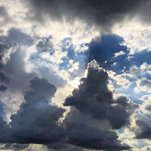 Meet your Posher, Ebony