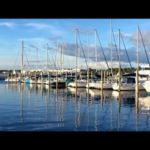 Meet your Posher, Haley