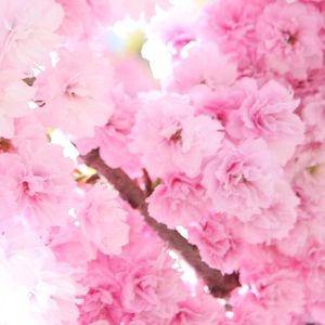 Meet your Posher, Mar