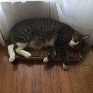 Meet your Posher, Erin