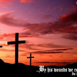 Meet your Posher, Alemayehu