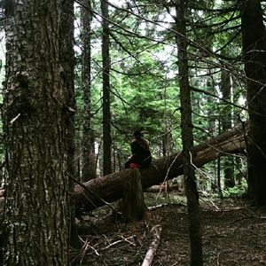 Meet your Posher, Andreina