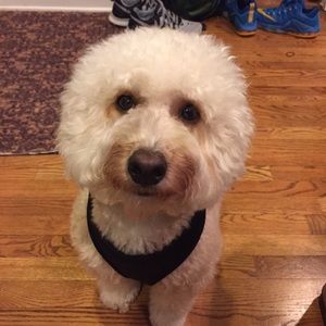 Meet your Posher, Wangari