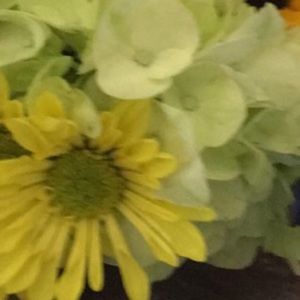 Meet your Posher, Dal