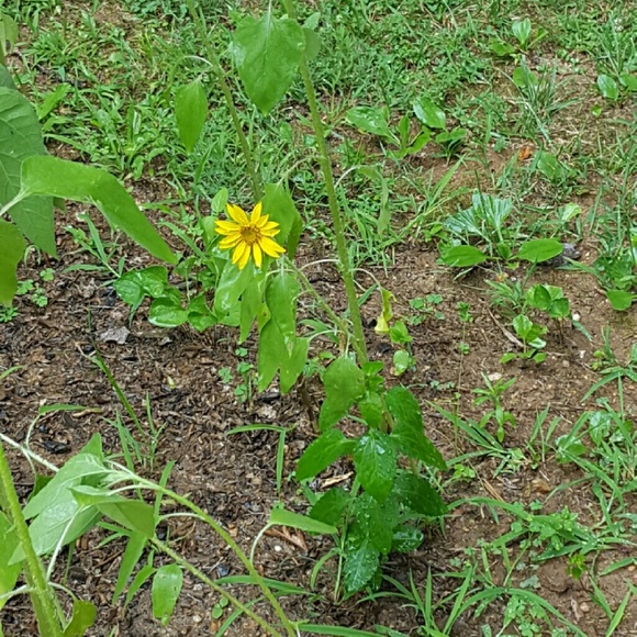 Meet your Posher, Terri