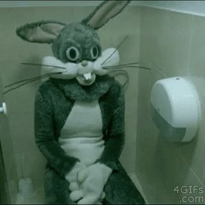 Meet your Posher, Cara