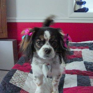 Meet your Posher, Sharon