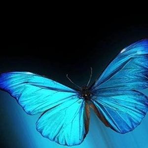 Meet your Posher, Heidi