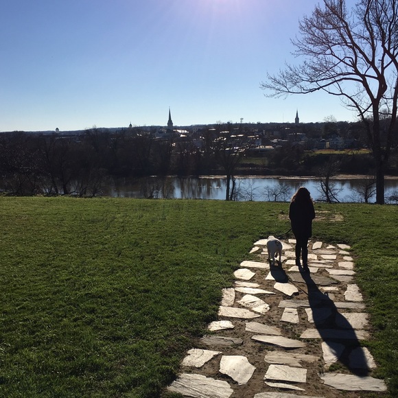 Meet your Posher, Cassidy - Picture 1 of 1